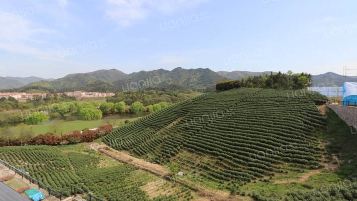 安吉缓山铂岭 4室4厅 480万