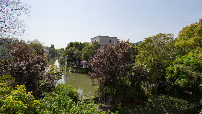 上海二手房 浦东二手房 康桥二手房 中科大学村二手房 当前房源