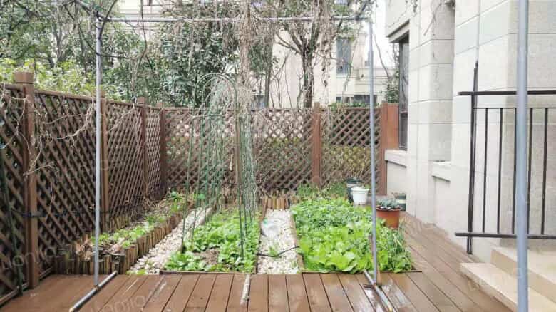 整租· 精装修 少有带院子户型 可养花 可种菜 怡然自得