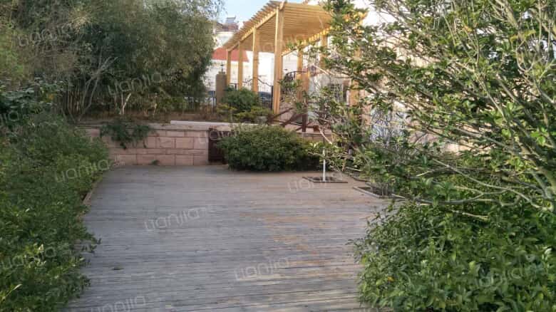 山水庭院 独栋别墅 带大院子 家具家电全齐 精装修