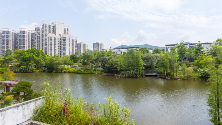 明月山溪,中间*,看湖;小区仅有15套-窗外景观