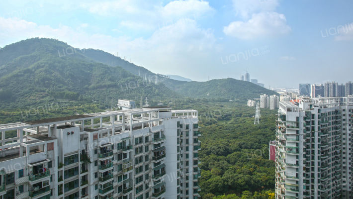 深圳二手房 南山区二手房 南山中心二手房 城市山林二手房 当前房源