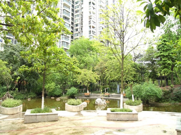 有学区名额 带车位 对中庭_成都东苑东苑d区二手房(网