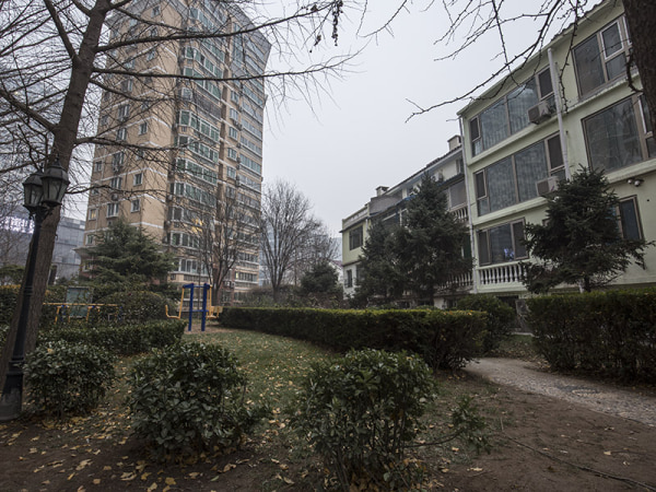 鹿鸣苑免税电梯学区房 精装地铁房 诚心出售