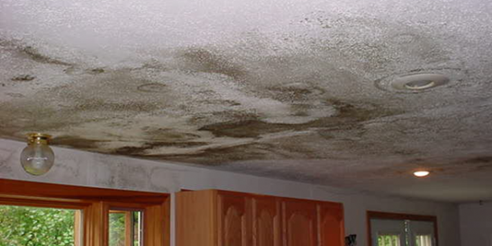 少部分房屋内部屋顶能明显看出漏水迹象，但大部分看不到的还是需要验房师的检查