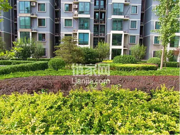 城八区低总价可落户