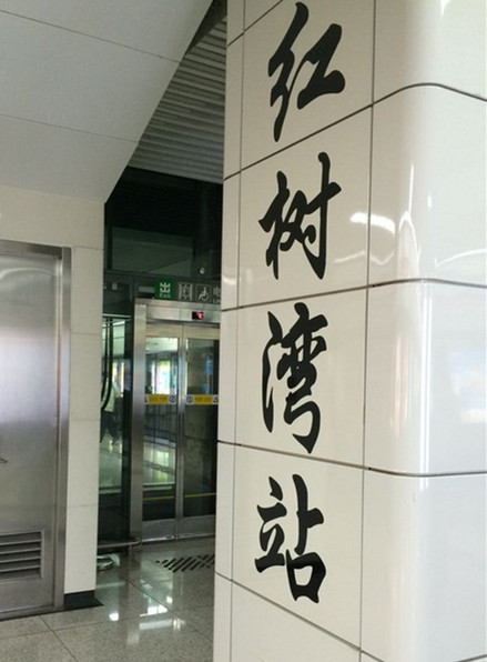 红树湾站,2号线从新秀开始到赤湾结束,11号线红树湾南站从福田到碧头