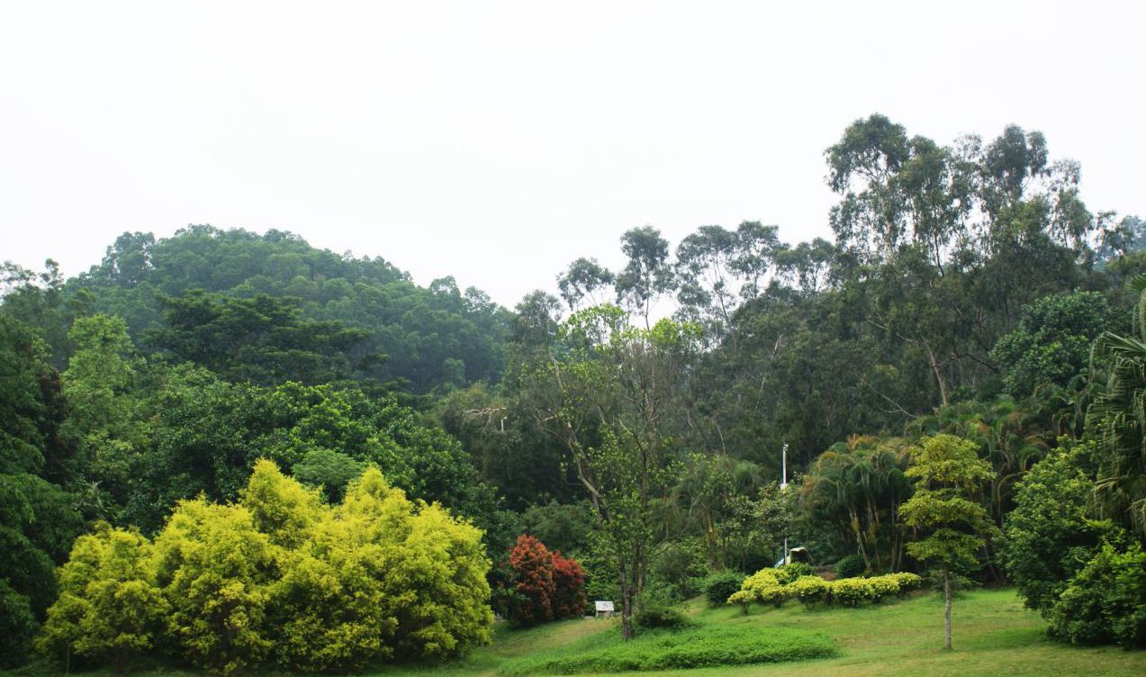 乐山居小区最容易找的到的地标是笔架山公园,紧邻笔架山 这个图片为