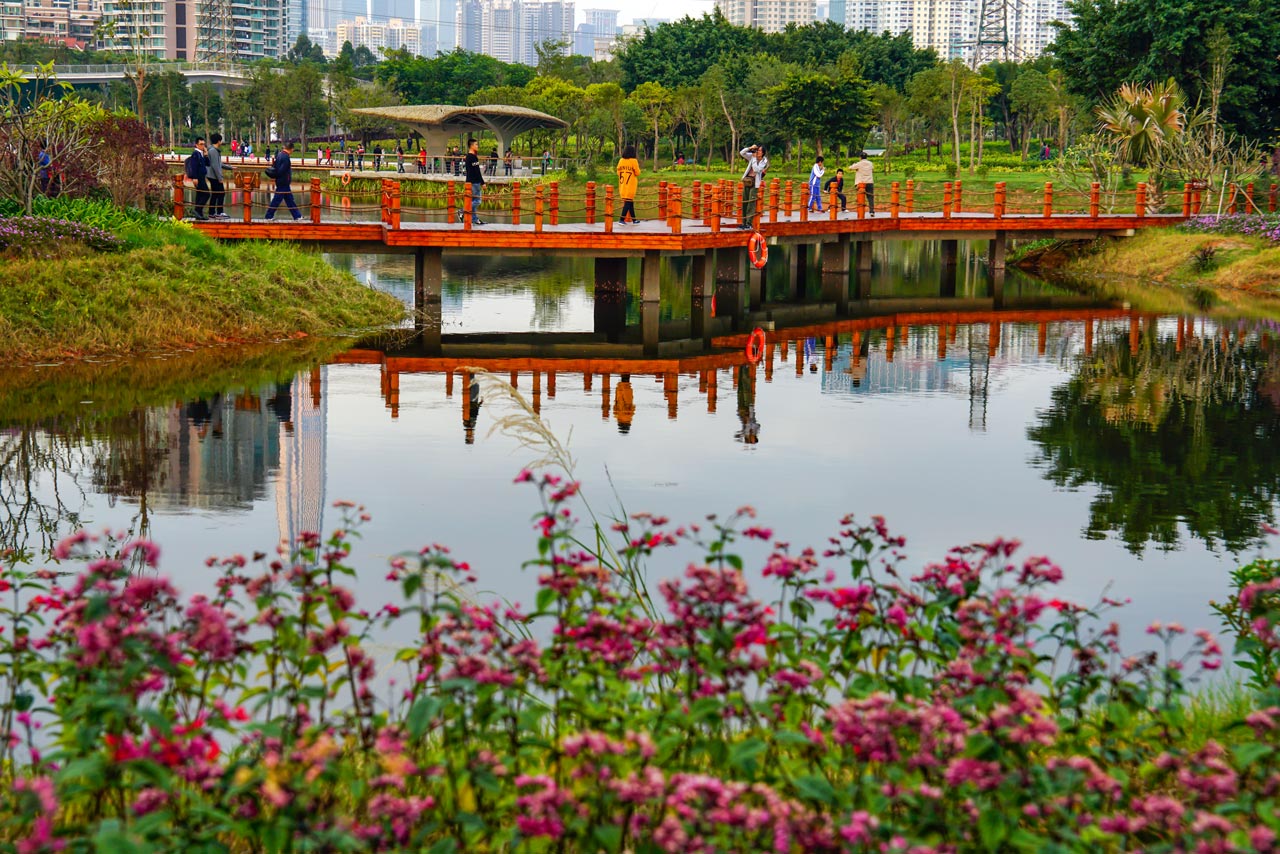 临近红树林生态公园,小区内有国际性幼儿园,附近还有小学和购物广场.