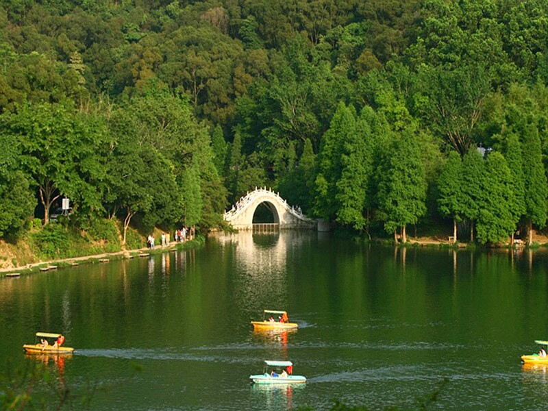 出名地标一个弘法寺,二个是仙湖植物园,三个是华润万家,还有一个就是