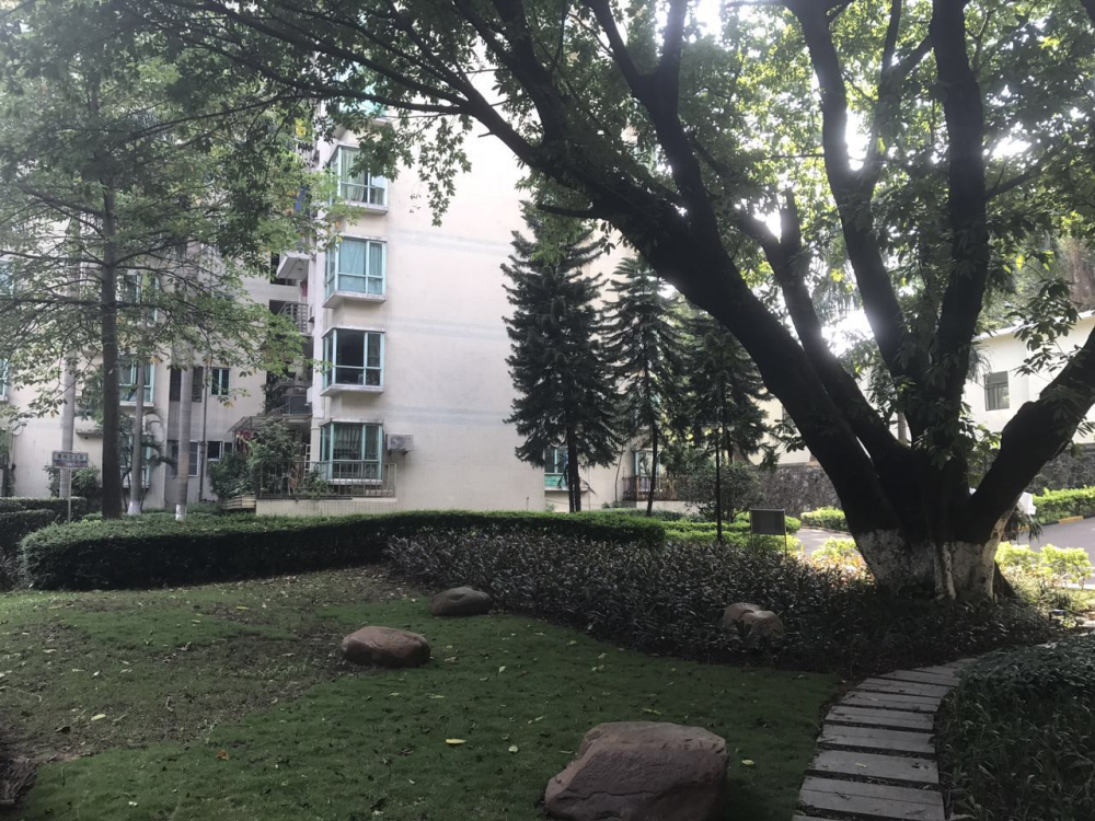 "亲榕苑环境 图/踩盘小分队"我住过光大的亲榕苑,华榕苑,榕岸,感觉都