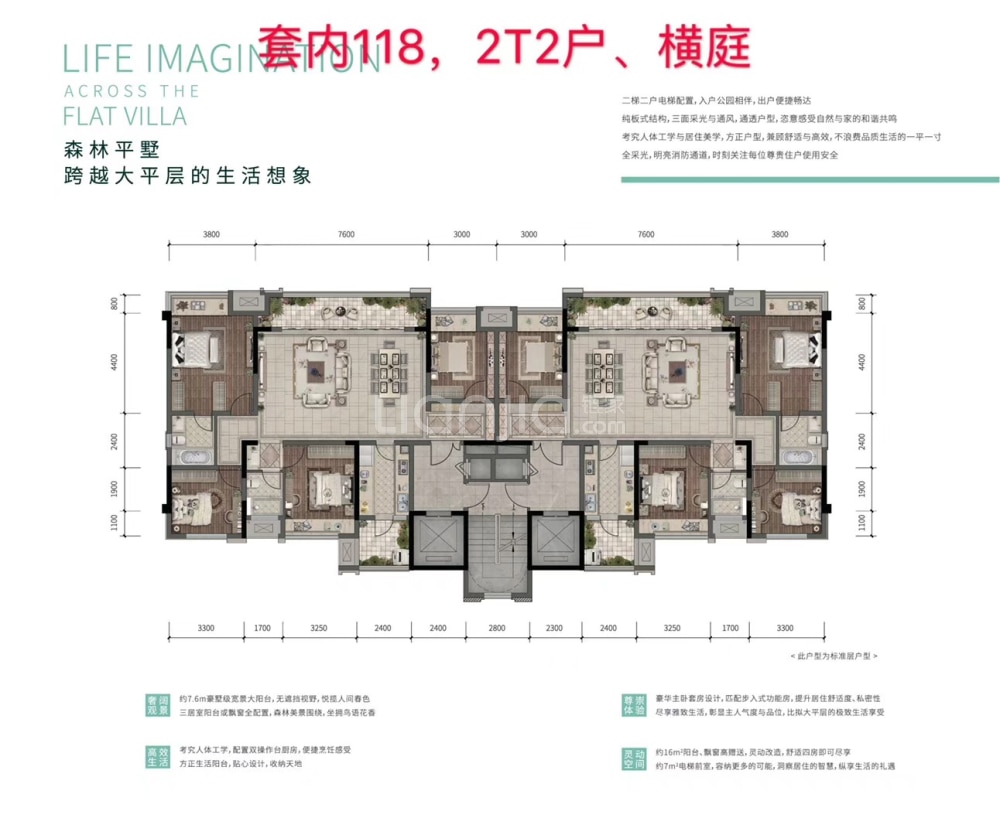 金科集美嘉悦