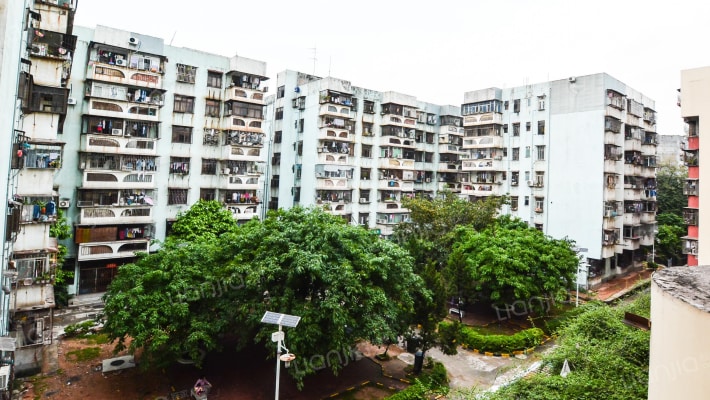 深圳红岗花园相册