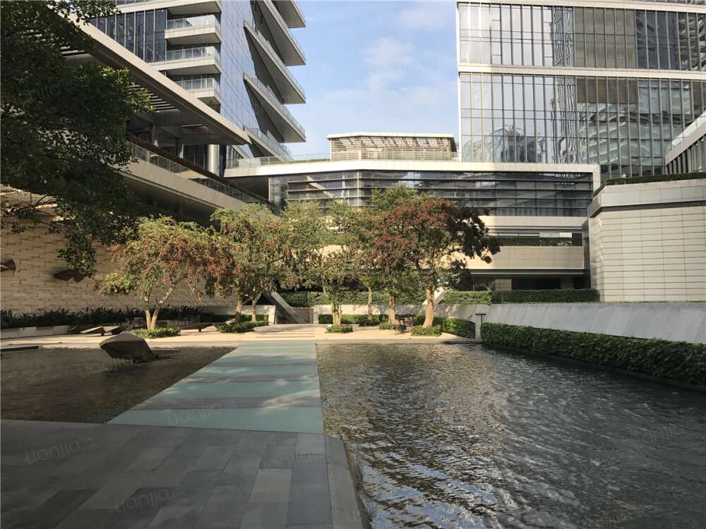 深圳湾1号相册