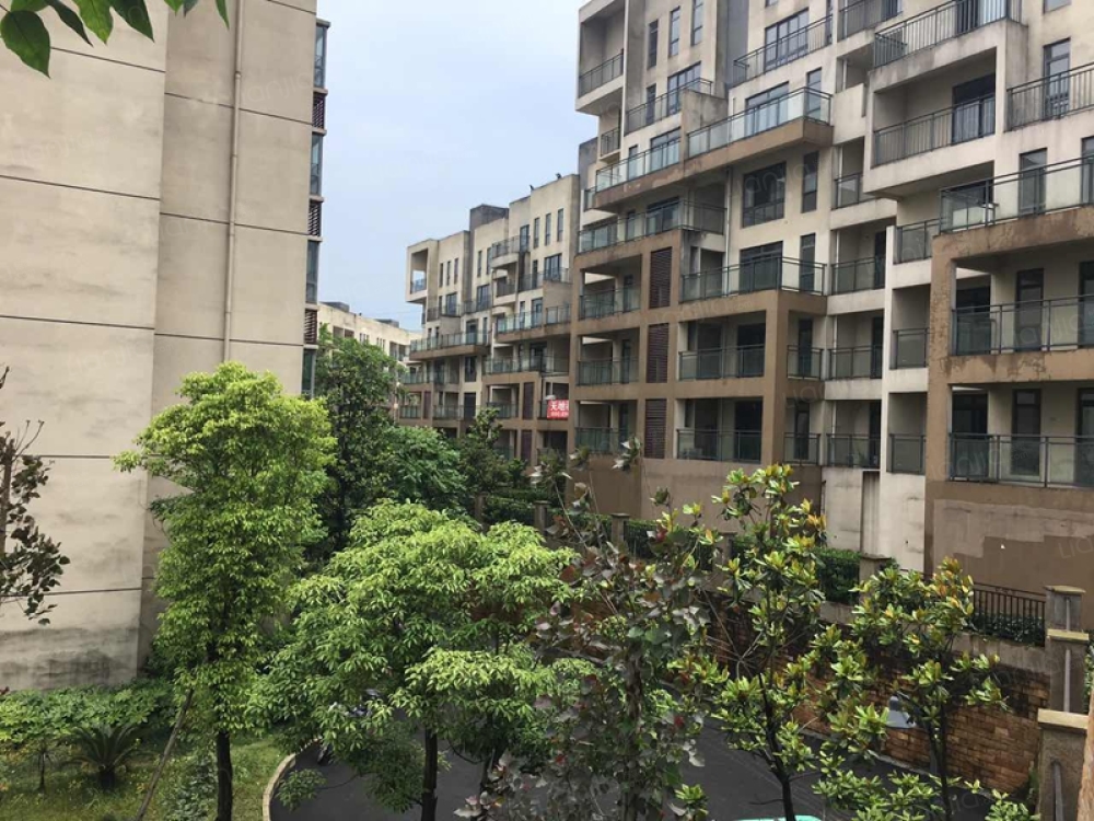 揽江雅苑相册