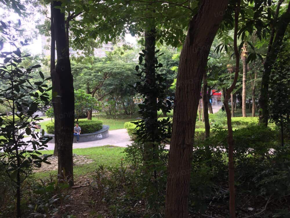 木棉湾商业街图片_木棉湾商业街实景图(深圳链家新房)