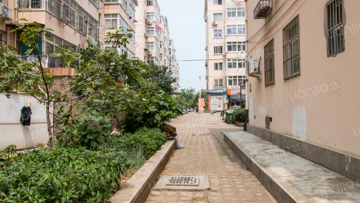 芙蓉山庄小区房源|户型图|小区车位|交通地址详情分析!