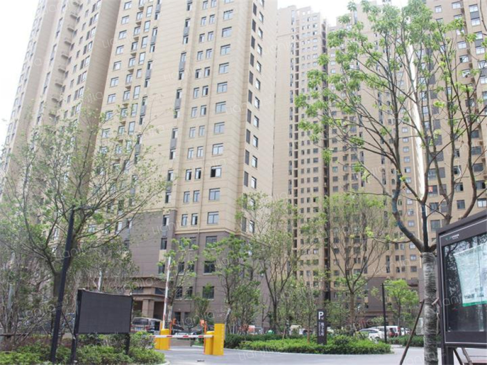 太平洋森活广场相册