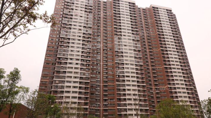 南京珍珠雅苑房价怎么样珍珠雅苑房源户型图小区车位交通地址详情分析