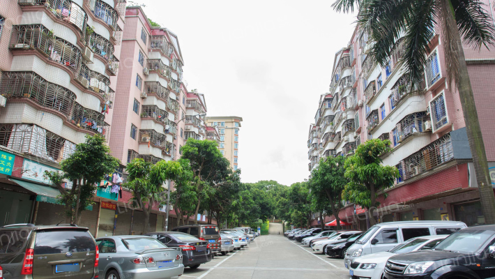 深圳龙岭山庄房价怎么样龙岭山庄房源户型图小区车位交通地址详情分析