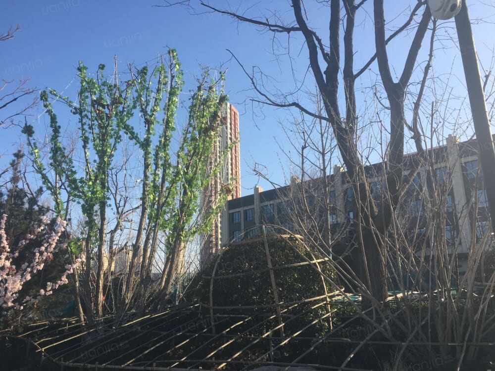 远洋简宫相册