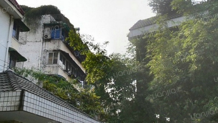 龙洲花园