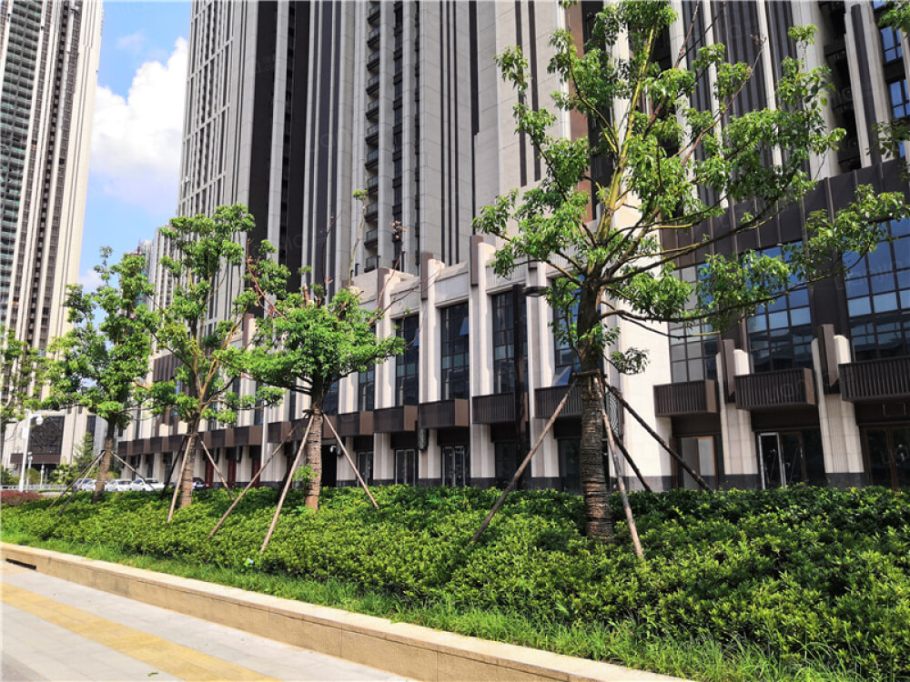 中城悦城相册