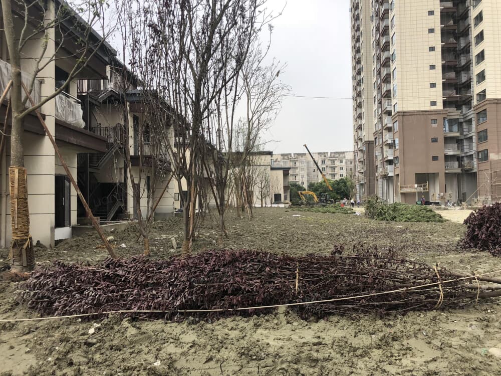 中粮祥云里图片_中粮祥云里实景图(成都链家新房)