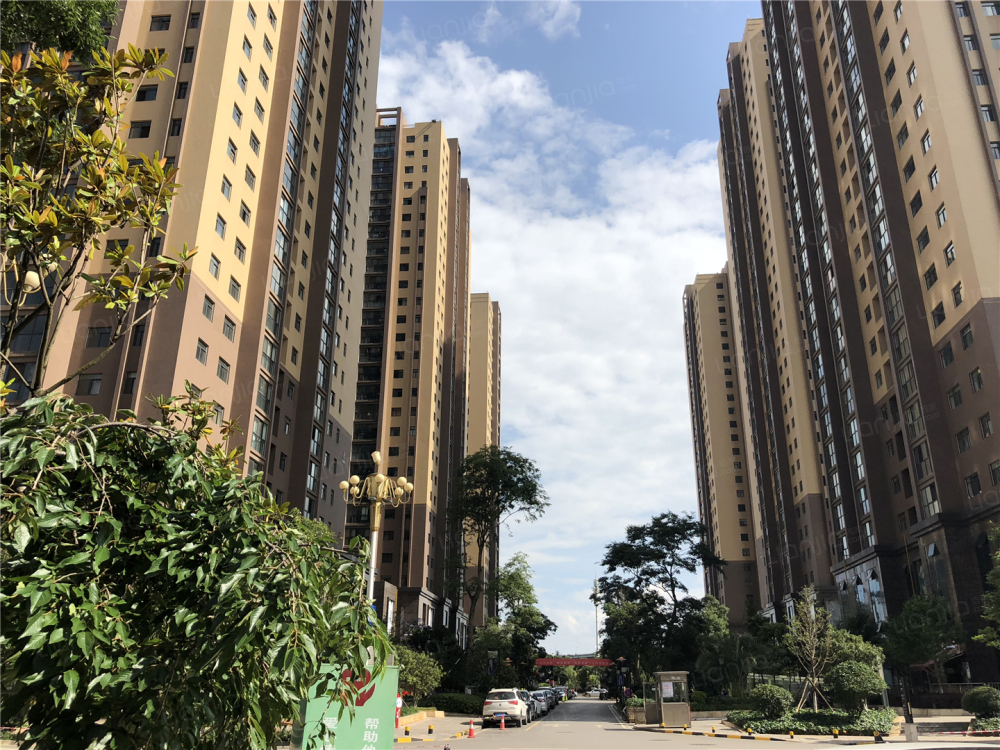 碧鸡名城相册