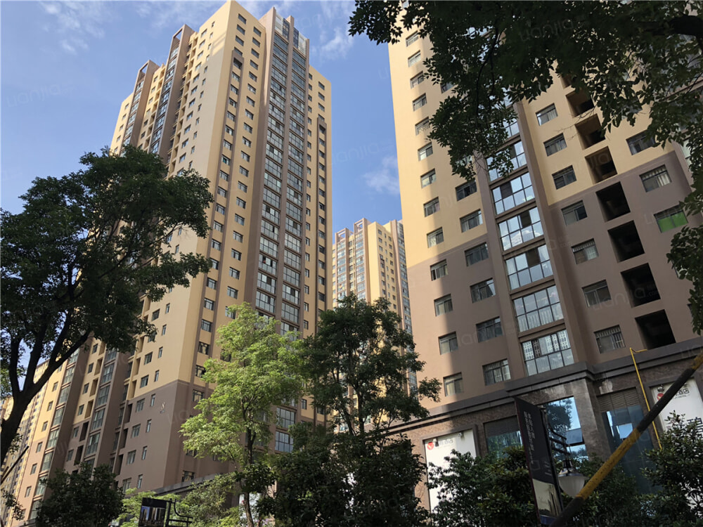 碧鸡名城相册