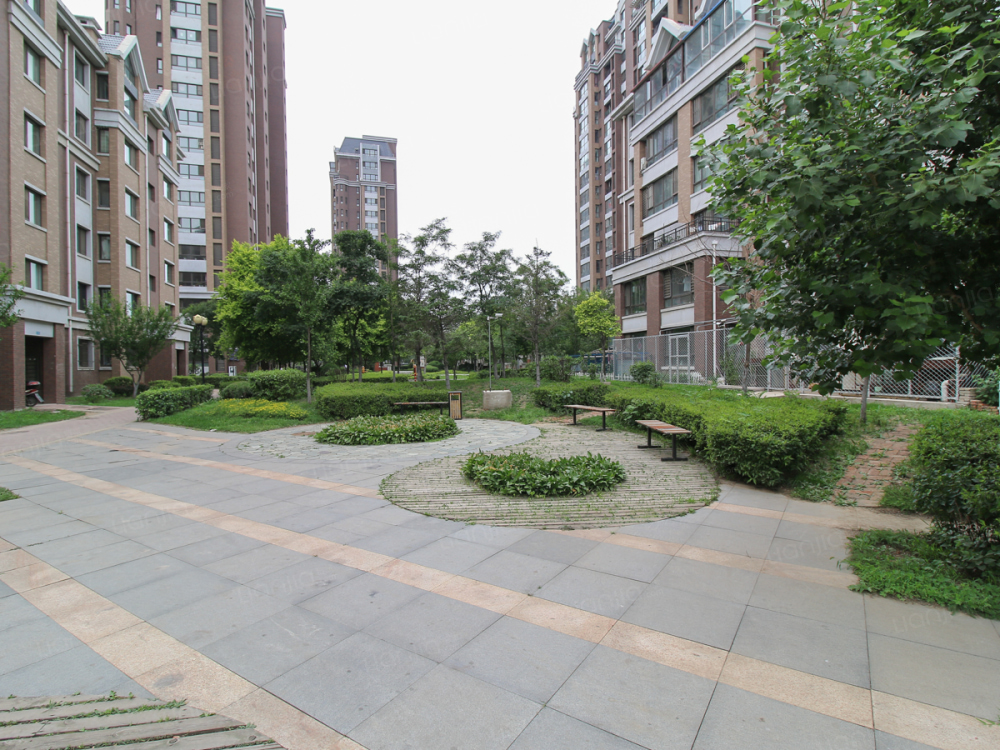 麓林春语相册