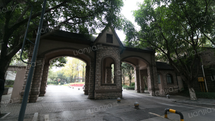 重庆常青藤人文别墅房价怎么样常青藤人文别墅房源户型图小区车位交通