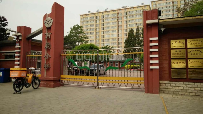 北京市海淀区育鹰小学