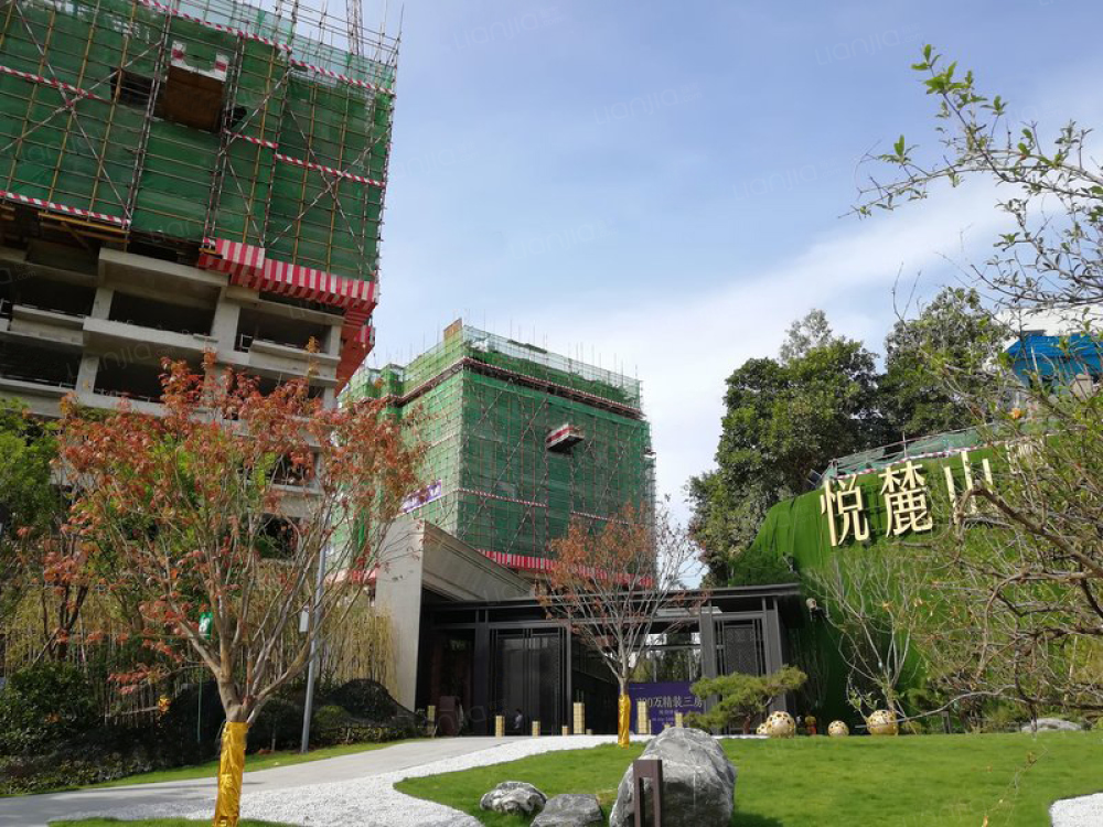 悦麓山相册