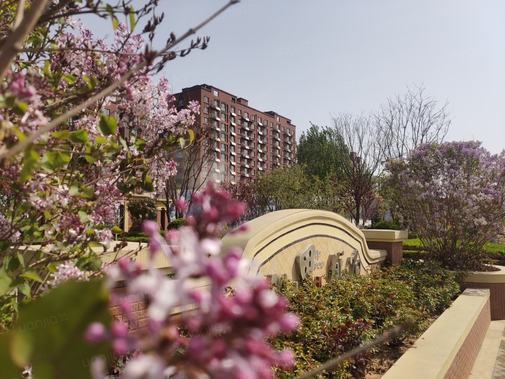 兴龙九里桃源图片_兴龙九里桃源实景图(秦皇岛链家新房)