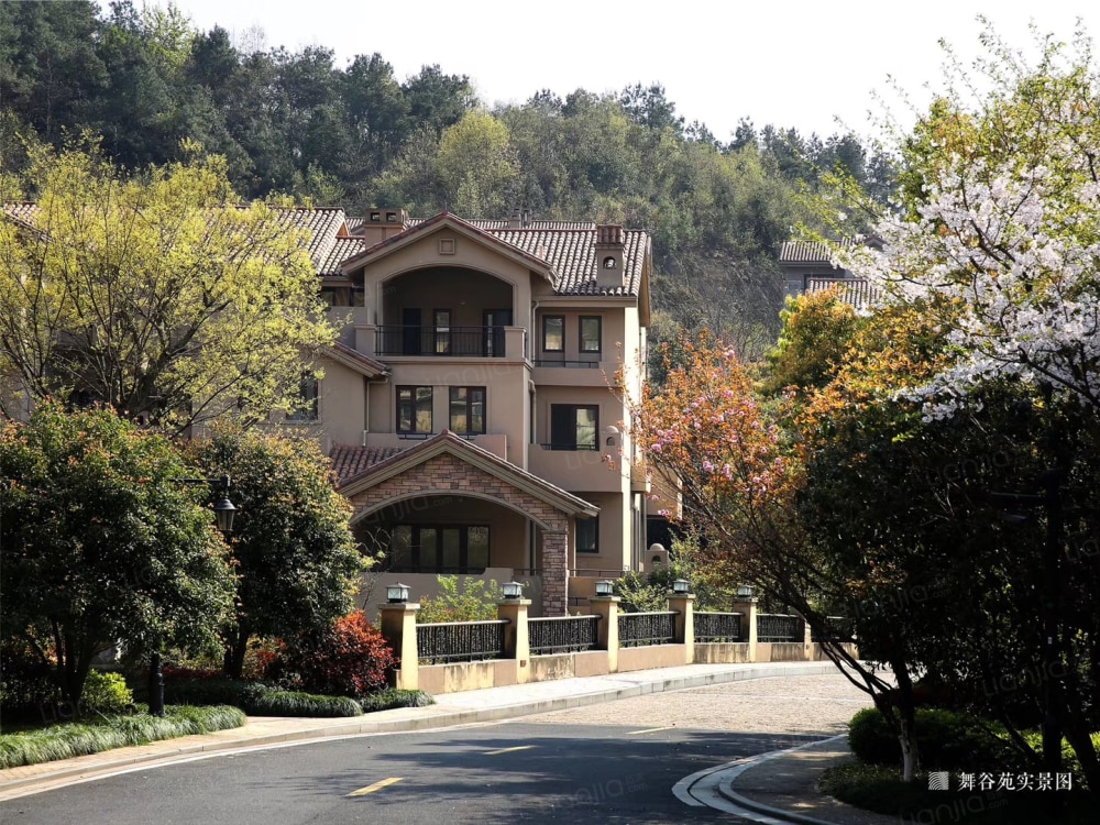 新湖菲林山相册