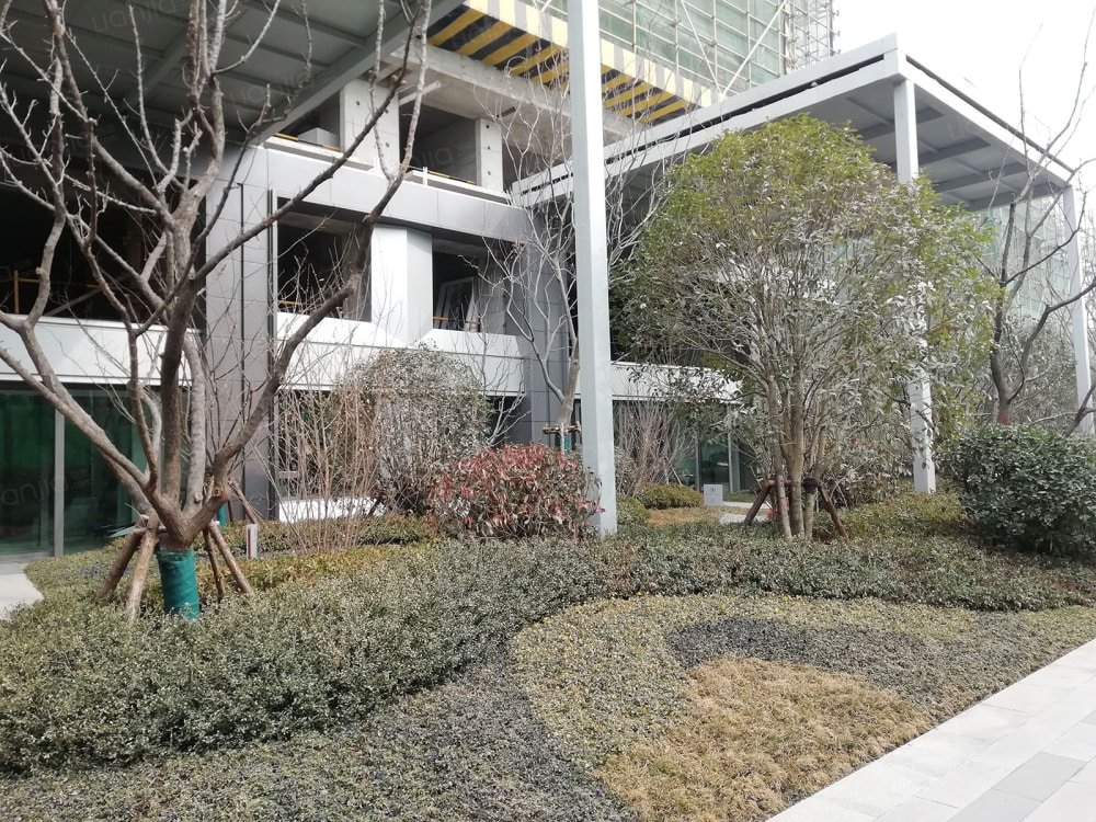 建业电影小镇之橙园相册