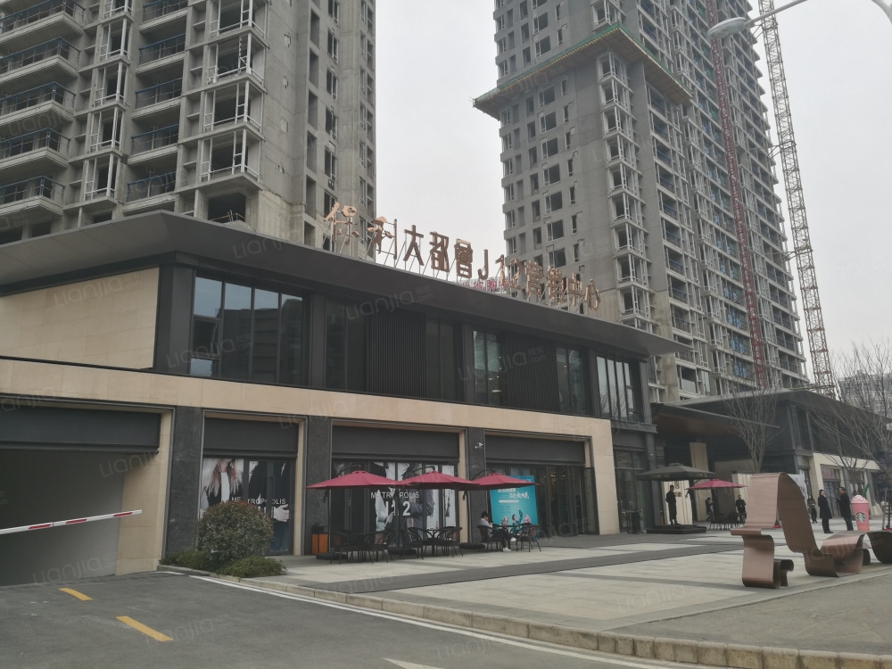 保利大都会尚湖图片_保利大都会尚湖实景图(武汉链家
