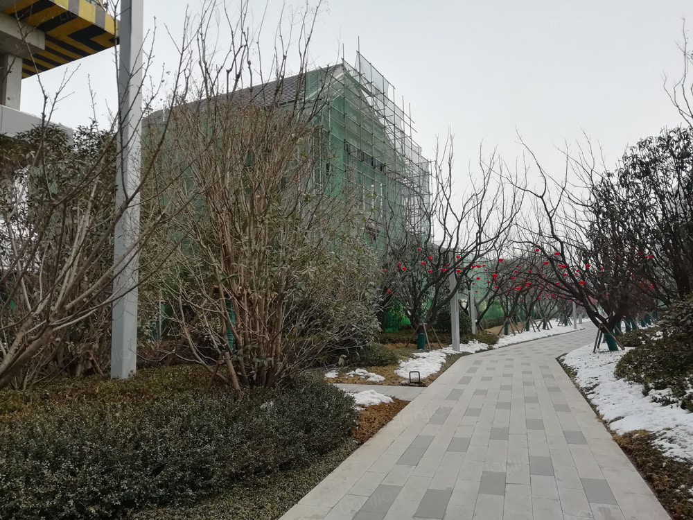 建业电影小镇之橙园相册