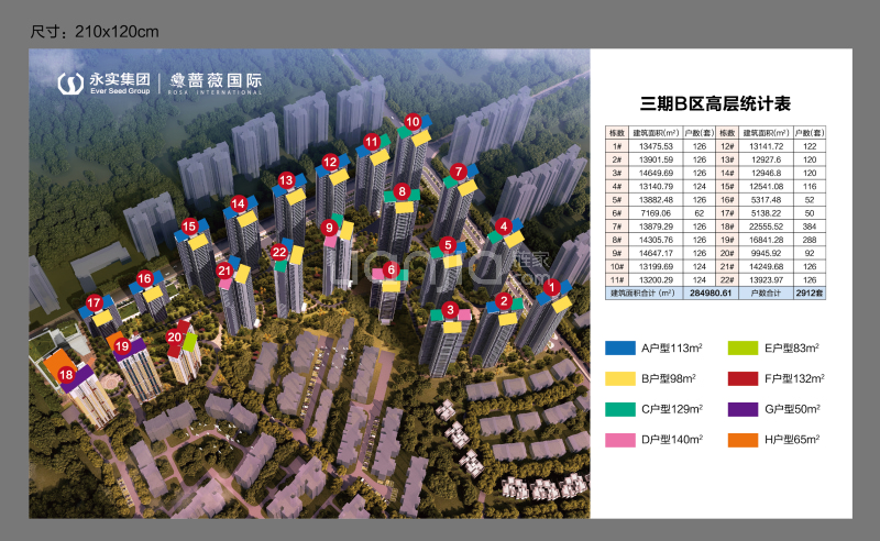 蔷薇国际