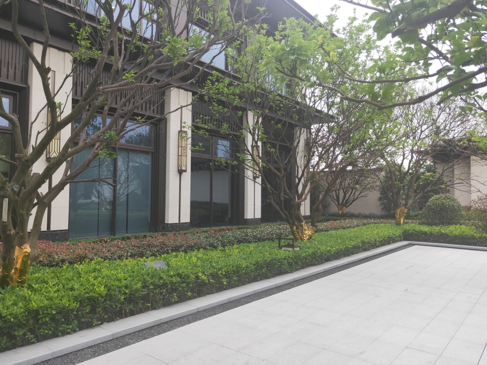 金科禹洲府图片_金科禹洲府实景图(重庆链家新房)