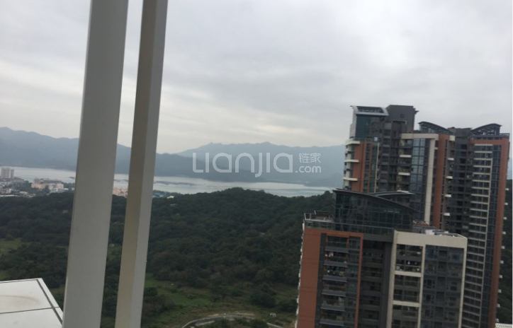 半山悦海花园_深圳半山悦海花园楼盘详情(深圳链家