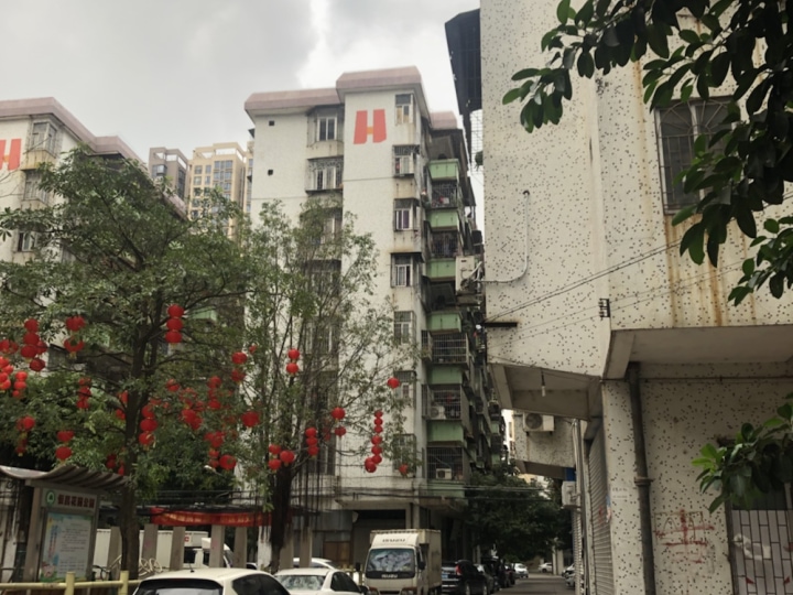 恒昌花园 2室2厅 85平米