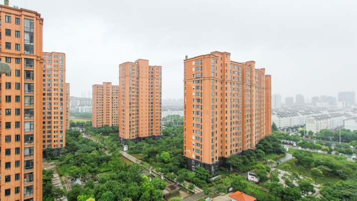 鑫苑国际城市花园 3室2厅 222万