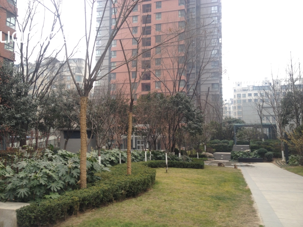 铭城16号相册