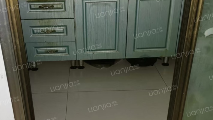 水岸花城，一线河景美宅，标准现房，即买即住-厨房