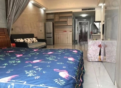 整租·同丰中央广场 1室1厅 南_同丰中央广场租房