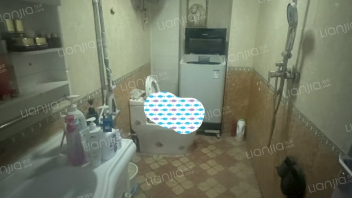 水岸花城，好房源，环境好，交通便利。-卫生间