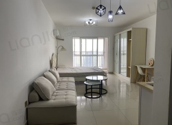 整租·中瀚财富广场 1室0厅 南_中瀚财富广场租房