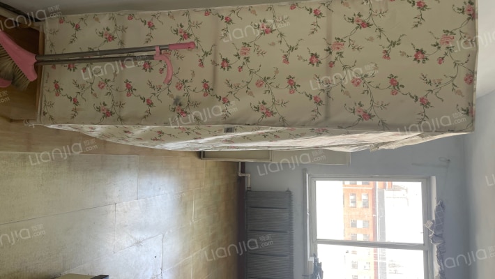 青年路2375号133厂A区二手房实景图